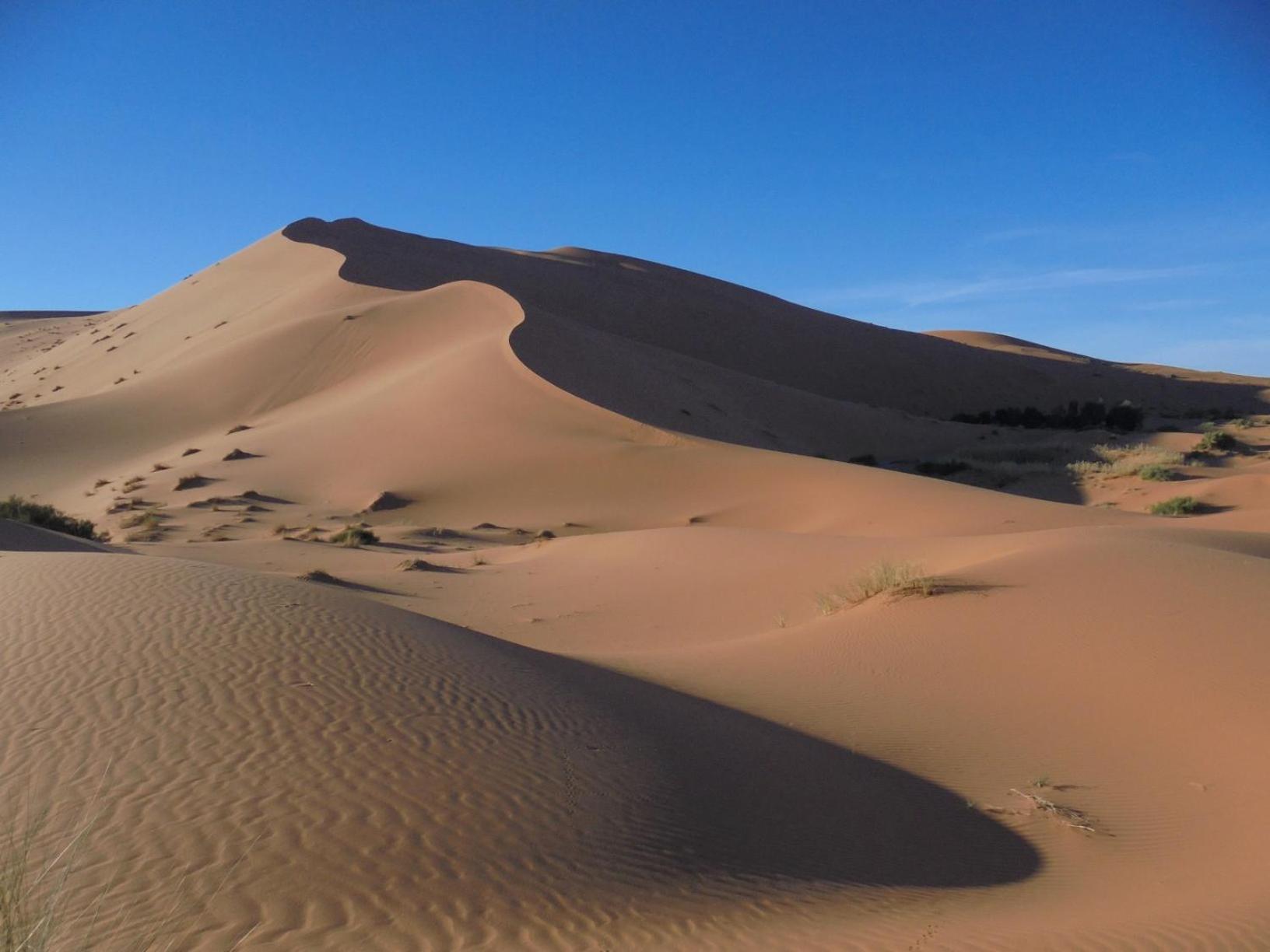Hotel Riad Oasis Merzouga Buitenkant foto